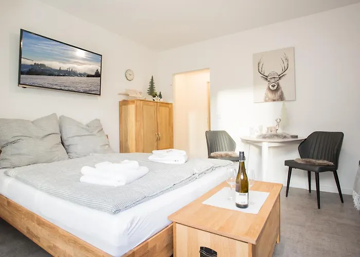 Deluxe - Center - 5 Min To Slopes - Am Kurpark - Free Parking * ווינטרברג